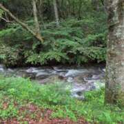 ヒメ日記 2025/08/16 11:38 投稿 さつき 熟女の風俗最終章 沼津店