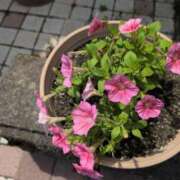 ヒメ日記 2025/08/16 15:28 投稿 さつき 熟女の風俗最終章 沼津店