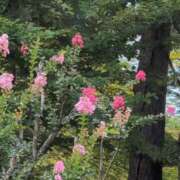 ヒメ日記 2025/08/16 15:38 投稿 さつき 熟女の風俗最終章 沼津店