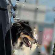 ヒメ日記 2025/08/16 16:53 投稿 さつき 熟女の風俗最終章 沼津店