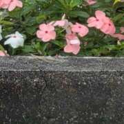 ヒメ日記 2025/08/16 22:29 投稿 さつき 熟女の風俗最終章 沼津店