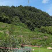 ヒメ日記 2025/08/17 14:58 投稿 さつき 熟女の風俗最終章 沼津店