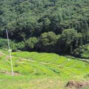 ヒメ日記 2025/08/17 19:31 投稿 さつき 熟女の風俗最終章 沼津店