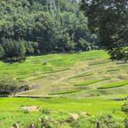 ヒメ日記 2025/08/17 21:58 投稿 さつき 熟女の風俗最終章 沼津店