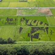 ヒメ日記 2025/08/18 11:58 投稿 さつき 熟女の風俗最終章 沼津店