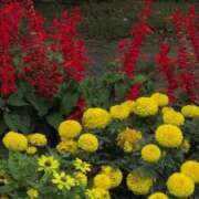 ヒメ日記 2025/08/18 16:58 投稿 さつき 熟女の風俗最終章 沼津店