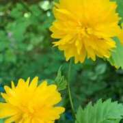 ヒメ日記 2025/08/19 14:28 投稿 さつき 熟女の風俗最終章 沼津店