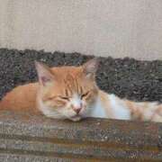 ヒメ日記 2025/08/24 07:59 投稿 さつき 熟女の風俗最終章 沼津店