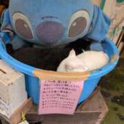 ヒメ日記 2025/08/26 14:02 投稿 さつき 熟女の風俗最終章 沼津店