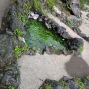 ヒメ日記 2025/08/27 16:18 投稿 さつき 熟女の風俗最終章 沼津店