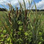 ヒメ日記 2025/08/28 15:28 投稿 さつき 熟女の風俗最終章 沼津店