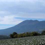 ヒメ日記 2025/08/28 18:35 投稿 さつき 熟女の風俗最終章 沼津店