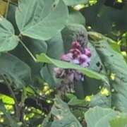 ヒメ日記 2025/08/30 10:48 投稿 さつき 熟女の風俗最終章 沼津店