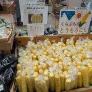 ヒメ日記 2025/08/30 11:03 投稿 さつき 熟女の風俗最終章 沼津店