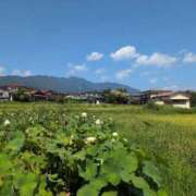 ヒメ日記 2025/09/01 11:58 投稿 さつき 熟女の風俗最終章 沼津店