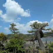 ヒメ日記 2025/09/01 12:45 投稿 さつき 熟女の風俗最終章 沼津店