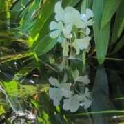 ヒメ日記 2025/09/02 12:14 投稿 さつき 熟女の風俗最終章 沼津店