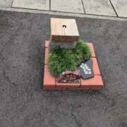 ヒメ日記 2025/09/03 07:28 投稿 さつき 熟女の風俗最終章 沼津店