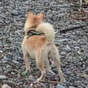 ヒメ日記 2025/09/07 10:58 投稿 さつき 熟女の風俗最終章 沼津店