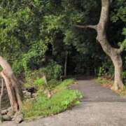 ヒメ日記 2025/09/09 07:58 投稿 さつき 熟女の風俗最終章 沼津店