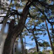 ヒメ日記 2025/09/11 09:45 投稿 さつき 熟女の風俗最終章 沼津店