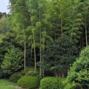 ヒメ日記 2025/09/12 10:54 投稿 さつき 熟女の風俗最終章 沼津店