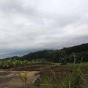 ヒメ日記 2025/09/15 08:20 投稿 さつき 熟女の風俗最終章 沼津店