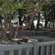 ヒメ日記 2025/09/16 09:28 投稿 さつき 熟女の風俗最終章 沼津店