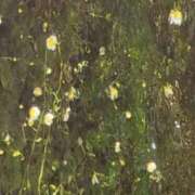 ヒメ日記 2025/09/16 23:28 投稿 さつき 熟女の風俗最終章 沼津店