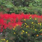 ヒメ日記 2025/09/19 16:48 投稿 さつき 熟女の風俗最終章 沼津店