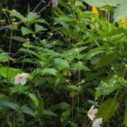 ヒメ日記 2025/09/20 09:48 投稿 さつき 熟女の風俗最終章 沼津店