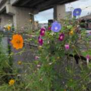 ヒメ日記 2025/09/21 10:08 投稿 さつき 熟女の風俗最終章 沼津店