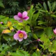 ヒメ日記 2025/09/22 18:03 投稿 さつき 熟女の風俗最終章 沼津店