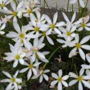 ヒメ日記 2025/09/23 20:02 投稿 さつき 熟女の風俗最終章 沼津店