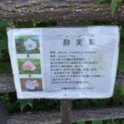 ヒメ日記 2025/09/24 18:08 投稿 さつき 熟女の風俗最終章 沼津店