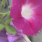 ヒメ日記 2025/09/24 18:11 投稿 さつき 熟女の風俗最終章 沼津店