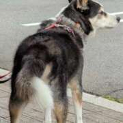 ヒメ日記 2025/09/24 22:48 投稿 さつき 熟女の風俗最終章 沼津店