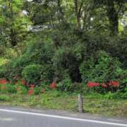 ヒメ日記 2025/09/24 23:28 投稿 さつき 熟女の風俗最終章 沼津店