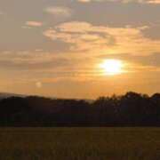 ヒメ日記 2025/09/25 07:20 投稿 さつき 熟女の風俗最終章 沼津店