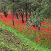 ヒメ日記 2025/09/25 12:57 投稿 さつき 熟女の風俗最終章 沼津店