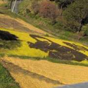 ヒメ日記 2025/09/26 13:18 投稿 さつき 熟女の風俗最終章 沼津店