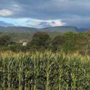 ヒメ日記 2025/09/26 16:10 投稿 さつき 熟女の風俗最終章 沼津店