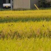 ヒメ日記 2025/09/26 18:20 投稿 さつき 熟女の風俗最終章 沼津店