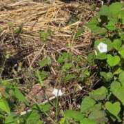 ヒメ日記 2025/09/27 09:16 投稿 さつき 熟女の風俗最終章 沼津店