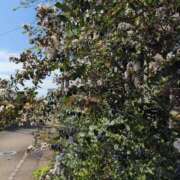 ヒメ日記 2025/09/27 09:50 投稿 さつき 熟女の風俗最終章 沼津店