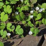 ヒメ日記 2025/09/28 23:38 投稿 さつき 熟女の風俗最終章 沼津店