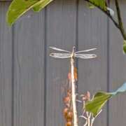 ヒメ日記 2025/09/30 19:04 投稿 さつき 熟女の風俗最終章 沼津店