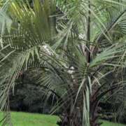 ヒメ日記 2025/10/01 14:48 投稿 さつき 熟女の風俗最終章 沼津店