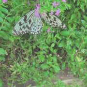 ヒメ日記 2025/10/02 12:18 投稿 さつき 熟女の風俗最終章 沼津店