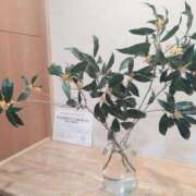 ヒメ日記 2025/10/02 18:21 投稿 さつき 熟女の風俗最終章 沼津店